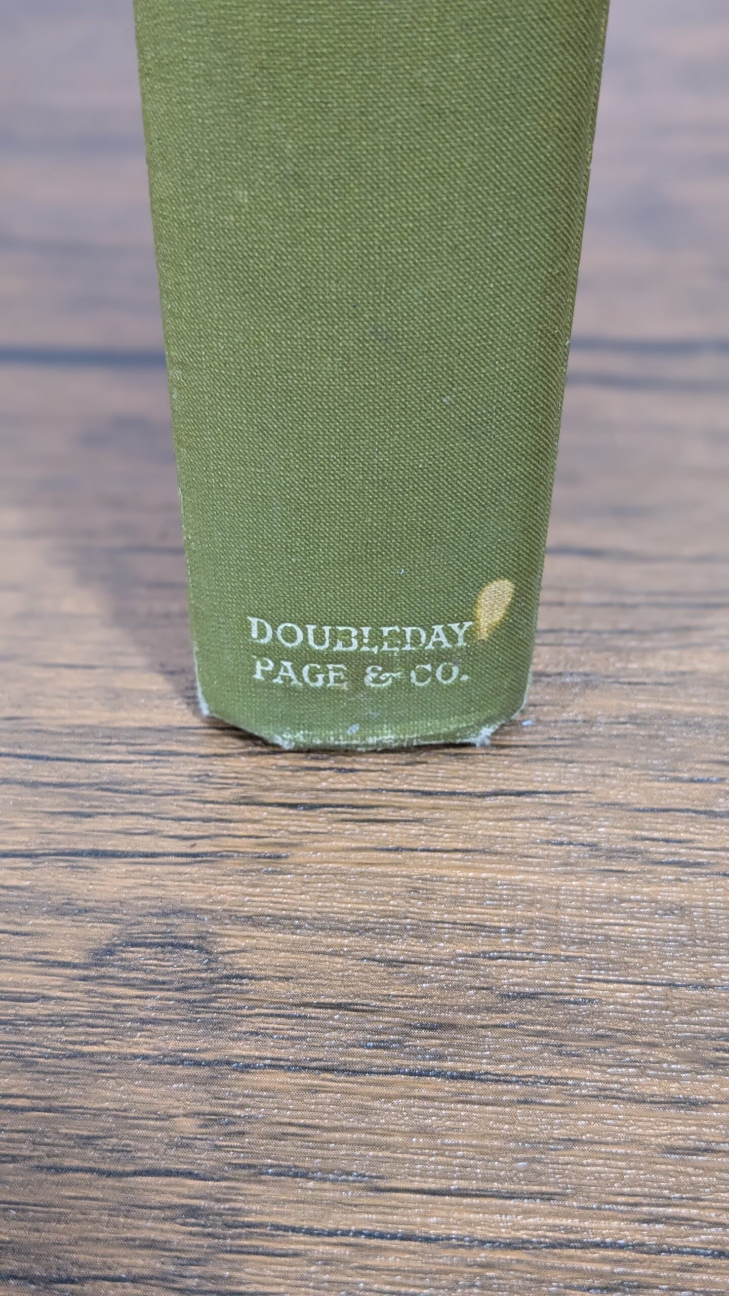 The Jungle (1906) — Upton Sinclair — Advance Copy - Image 3