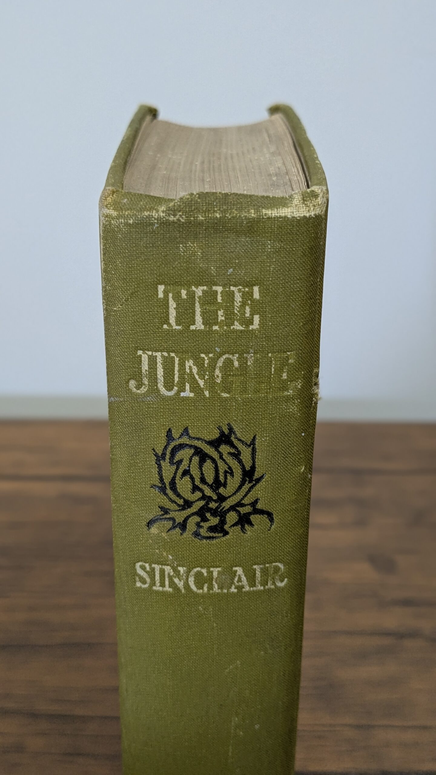 The Jungle (1906) — Upton Sinclair — Advance Copy - Image 2