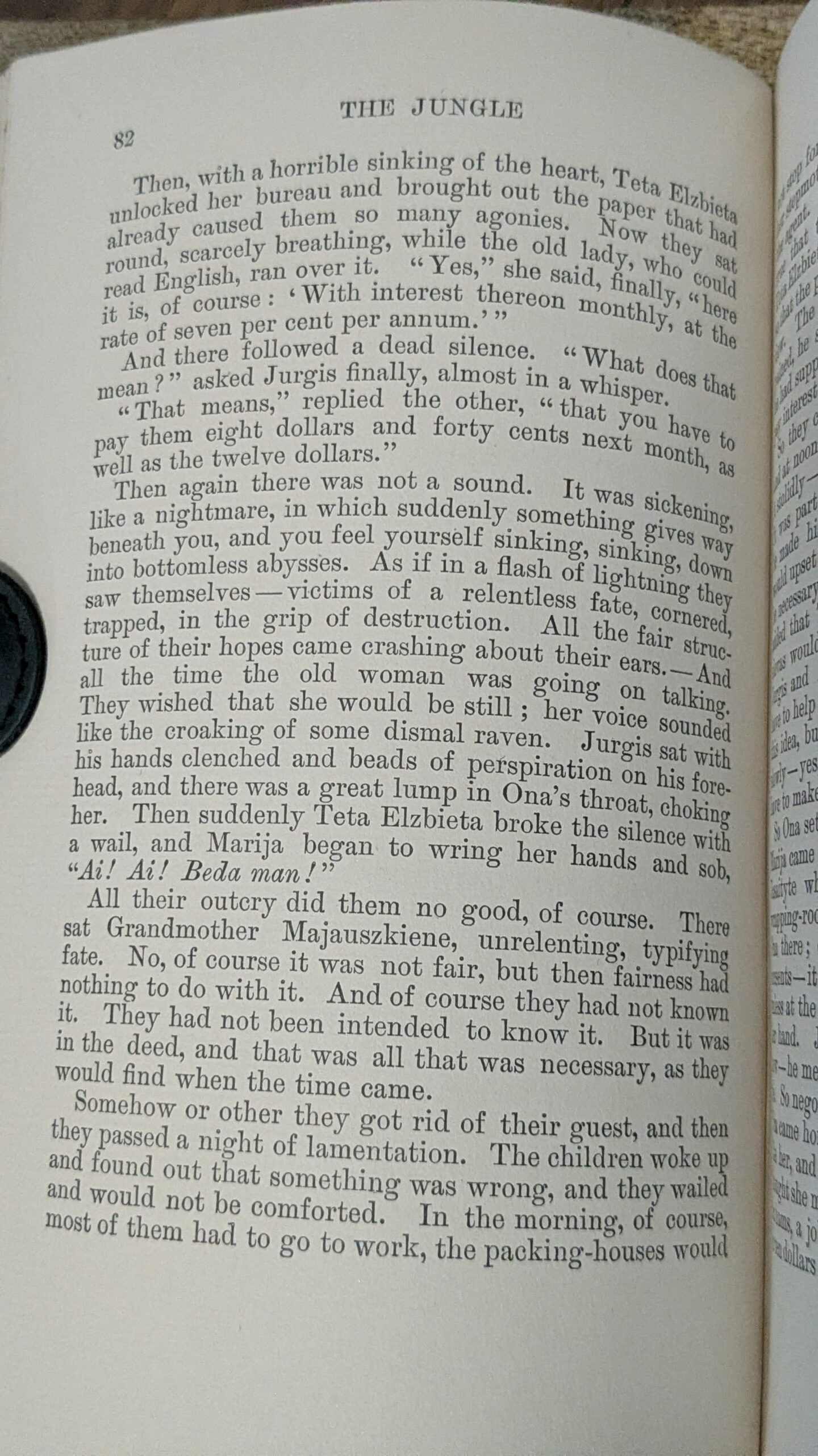 The Jungle (1906) — Upton Sinclair — Advance Copy - Image 8